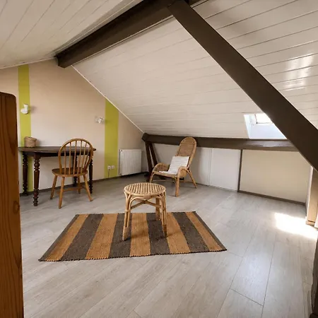 Bel Lumineux Et Chaleureux Apartment Biarritz
